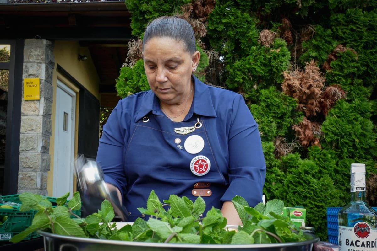 Menta fresca recién cortada para un taller de coctelería herbal