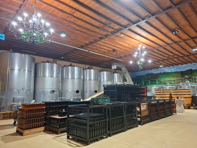 Visita a bodega en El Bierzo