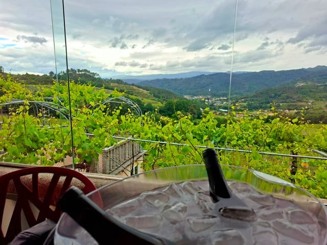 Viñedo de la D.O. Bierzo